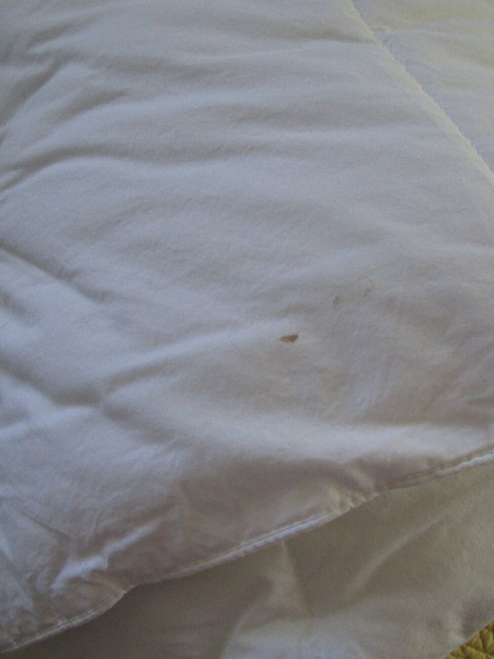 designer down alternative comforter - Picture 4 of 5